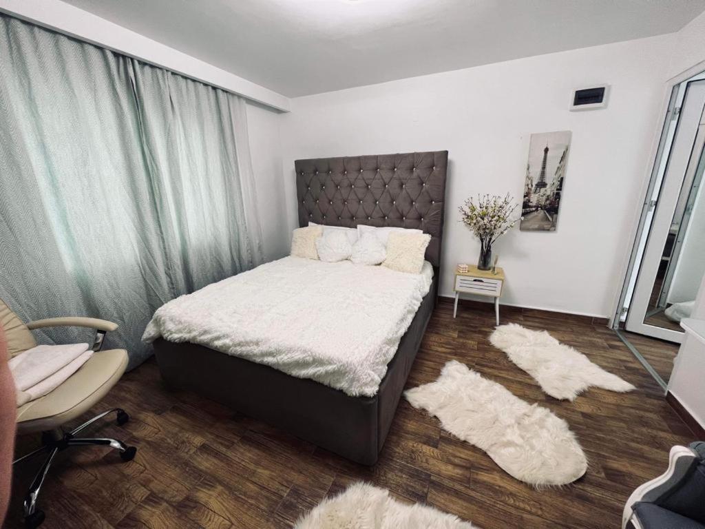 Pensiunea Ewo Iasi Exterior foto